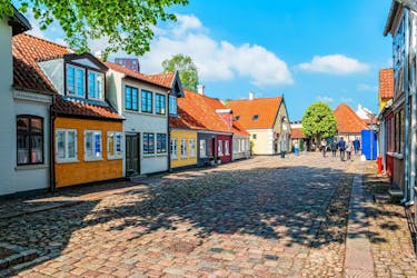 Romantic private walking tour through Odense